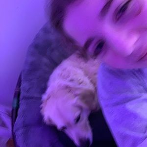 Meet your Posher, Maya